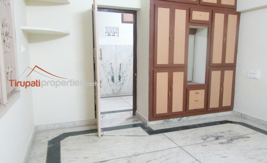 12,500 Sft G + 2 + Pent House #Semi-Commercial #BuildingforRent in Madhura Nagar, #Tirupati